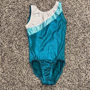 Shimmering Teal and Silver Leotard